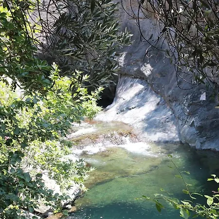 Perlacia * 아다테페