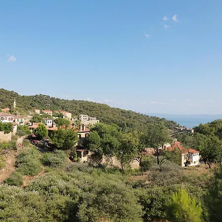 Perlacia Adatepe (Ayvacik)