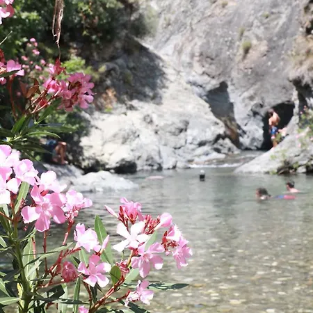 Hotel Perlacia Adatepe Adatepe (Ayvacik)