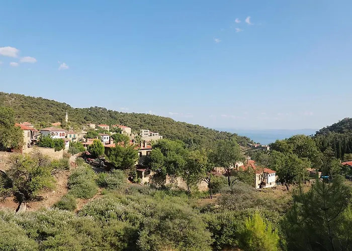 Perlacia Adatepe (Ayvacik)